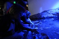 img_0243.jpg